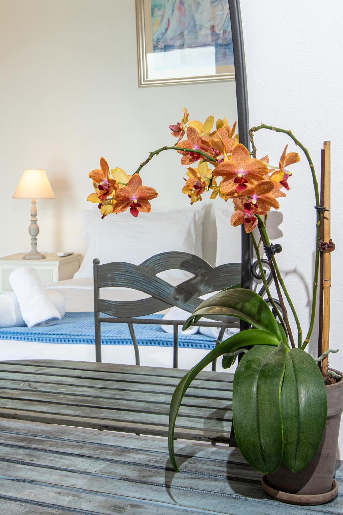 Dimitra Apartment With Private Pool And Sea View -The Ground Floor Of A Two Storey Building Daratsos Exterior foto